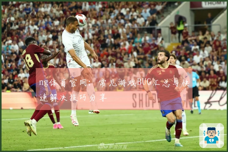 ng体育官网：常见游戏BUG汇总与快速解决技巧分享