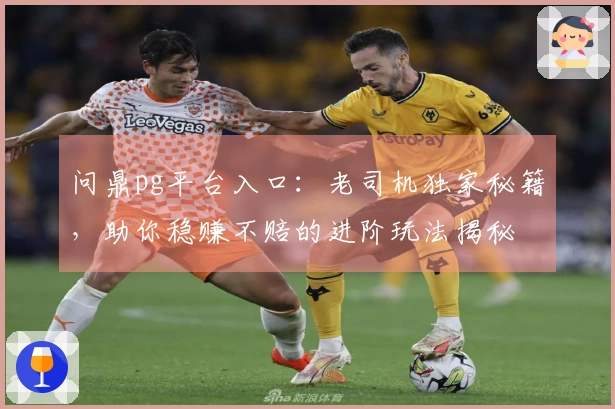 问鼎pg平台入口：老司机独家秘籍，助你稳赚不赔的进阶玩法揭秘